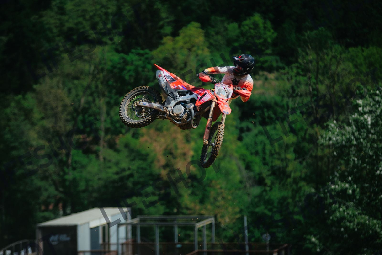 Scatto #81