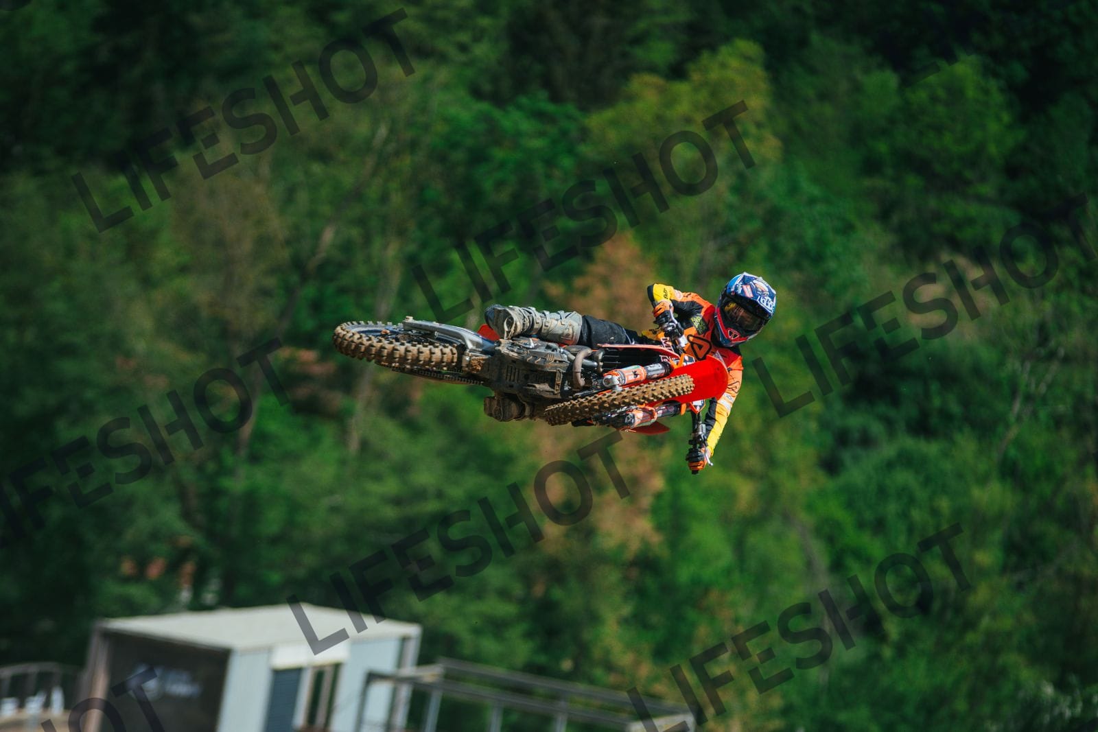 Scatto #938