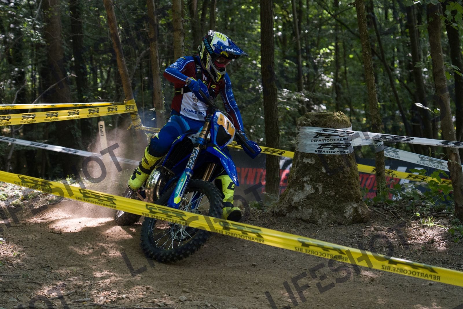 Scatto #1