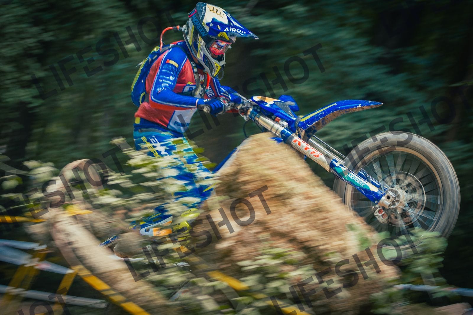 Scatto #1