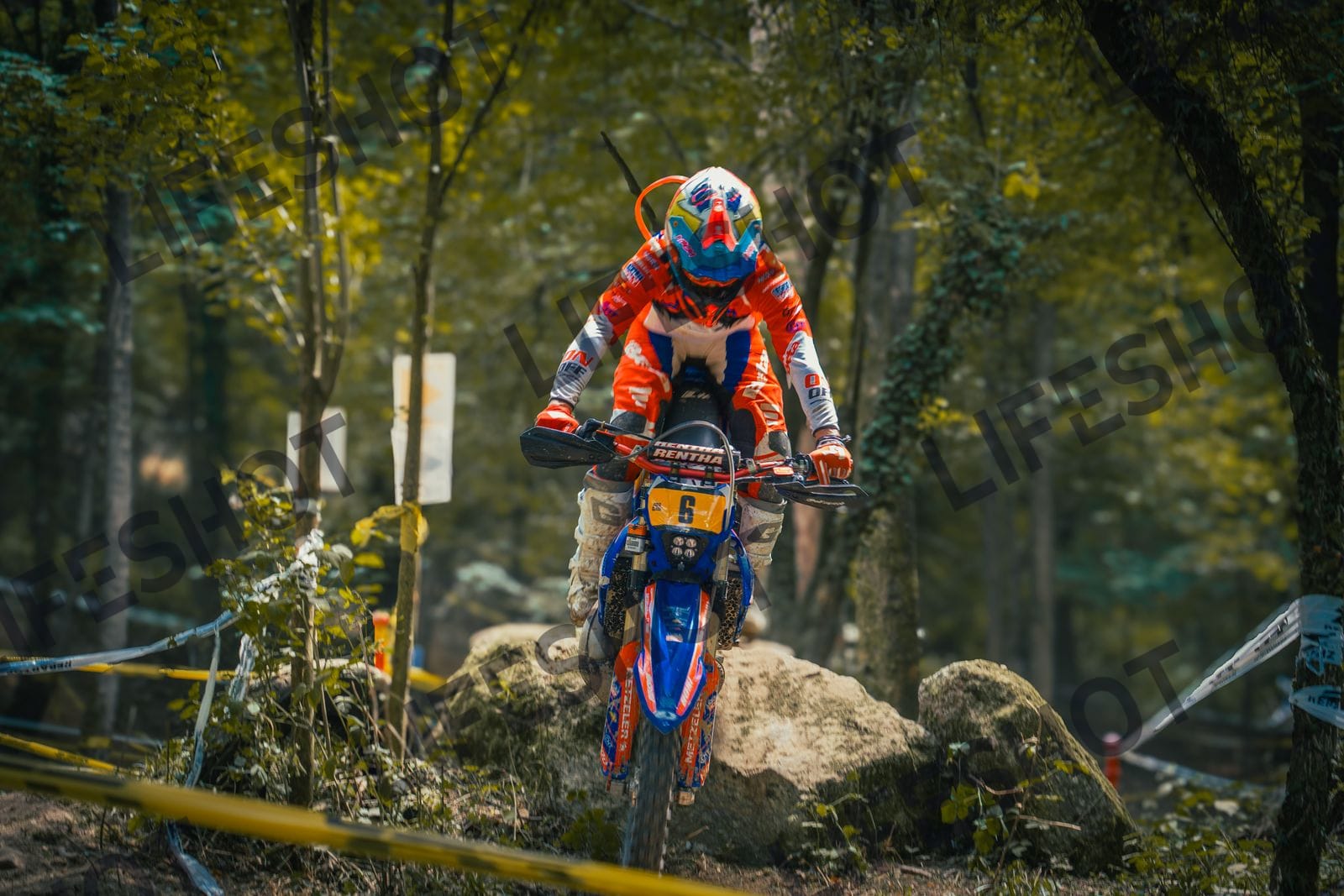 Scatto #6