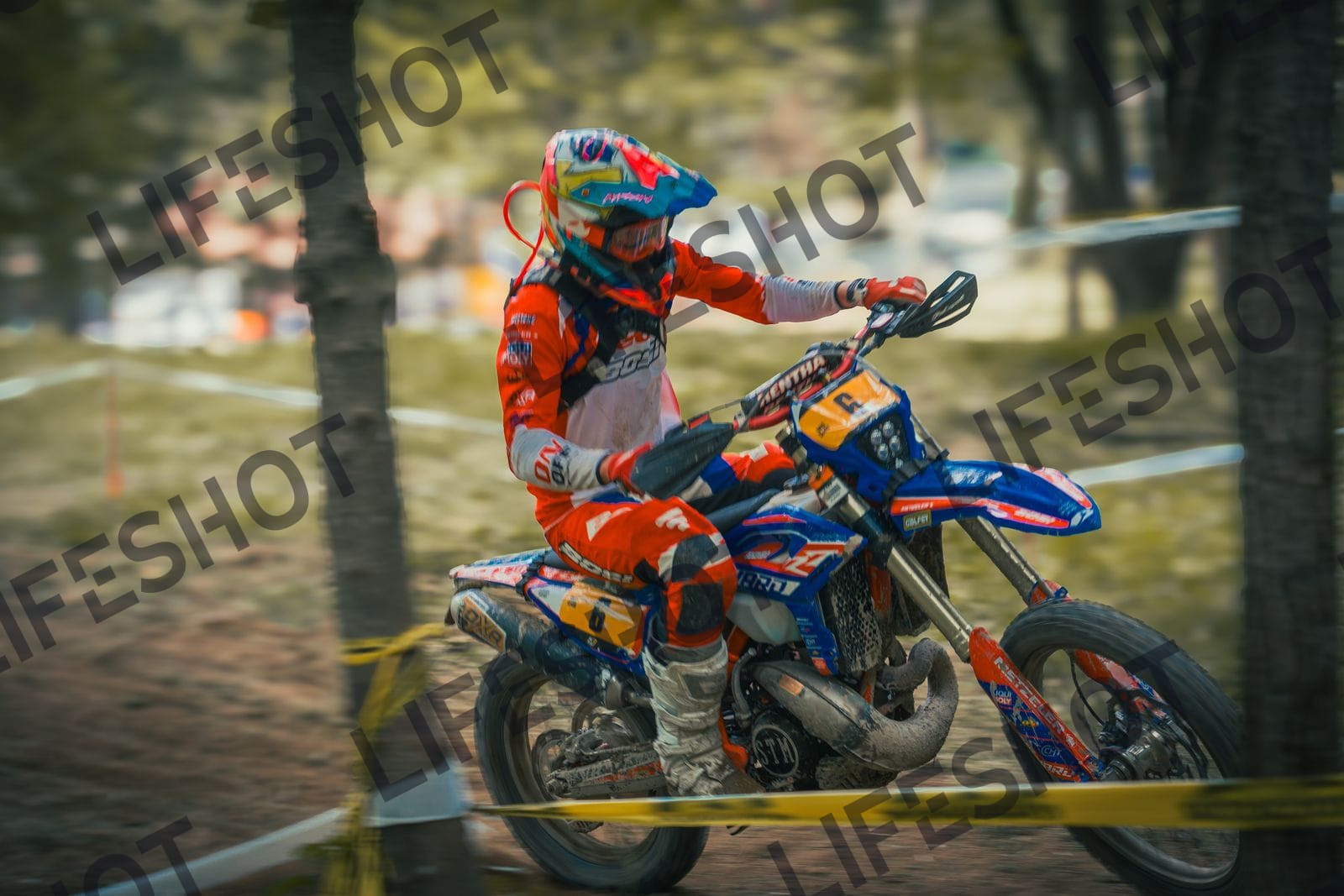 Scatto #6