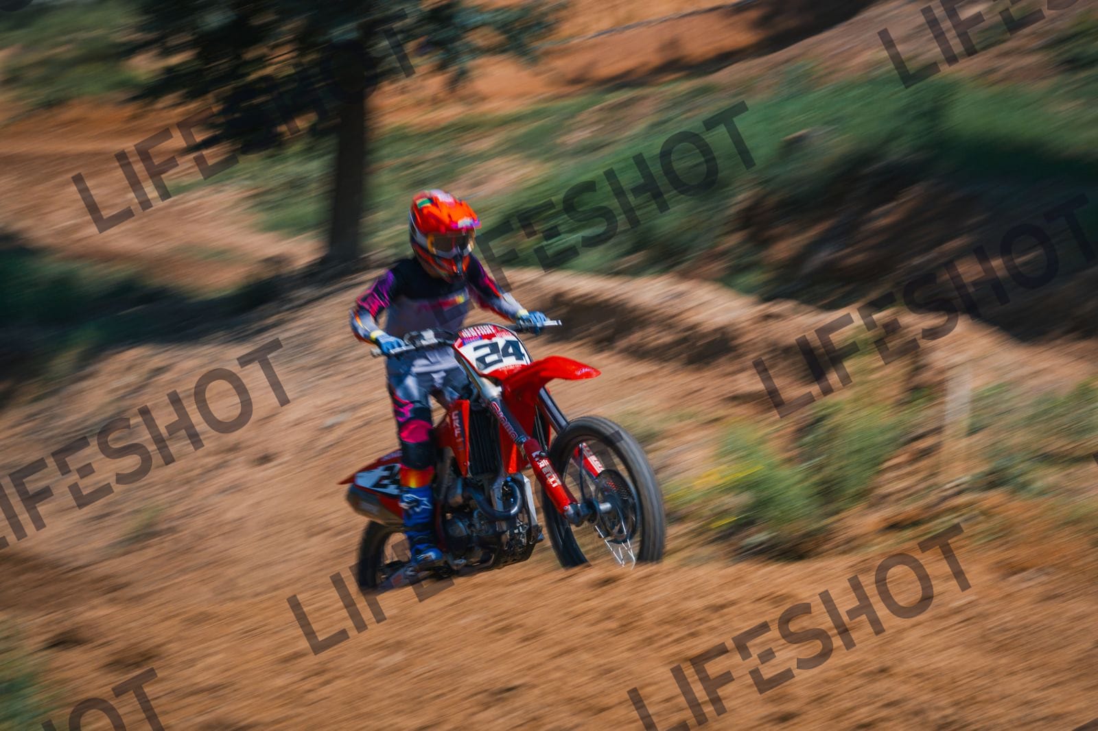 Foto — Training Fara - 5/06