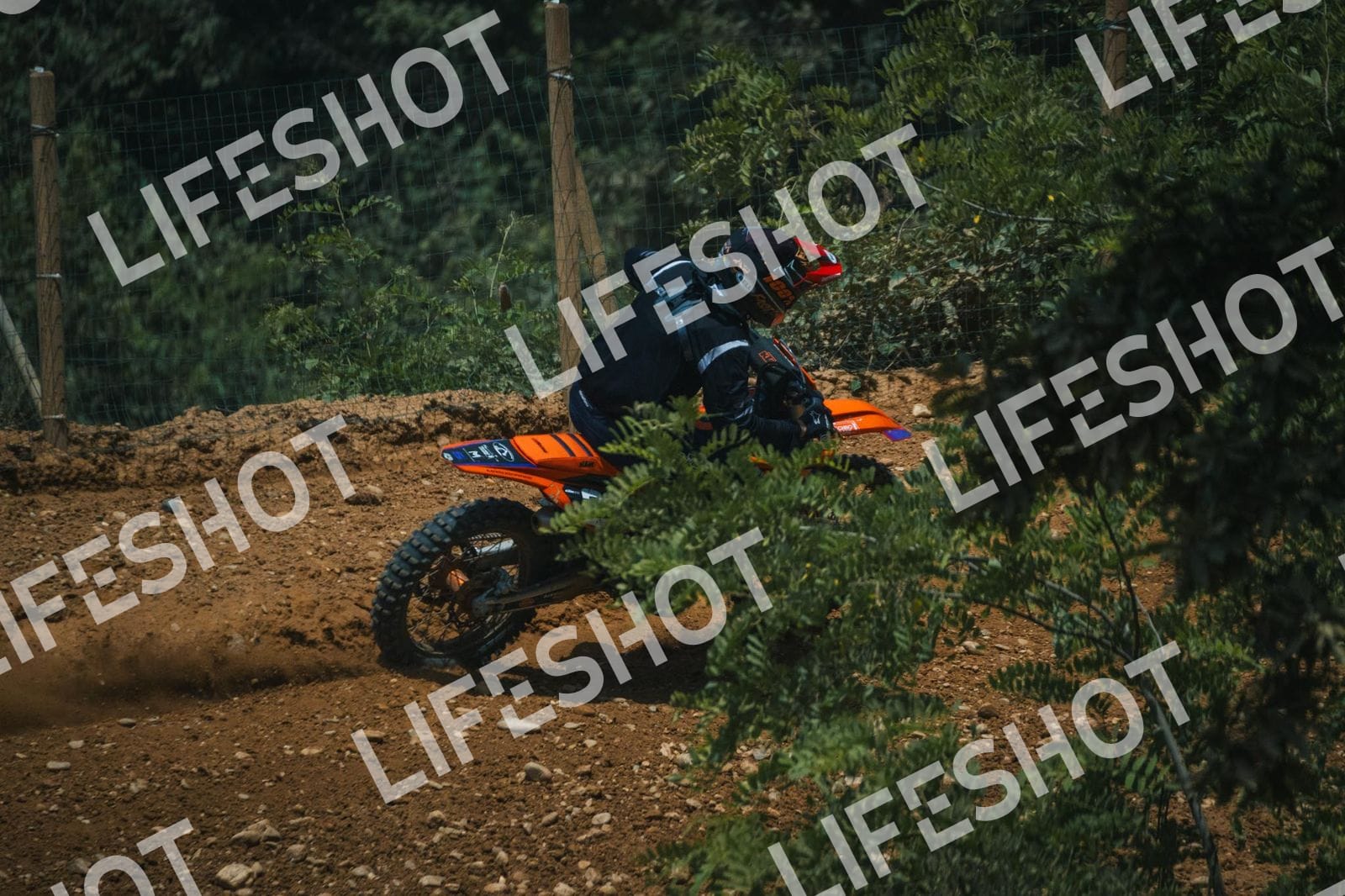 Foto — Training Fara - 14/06