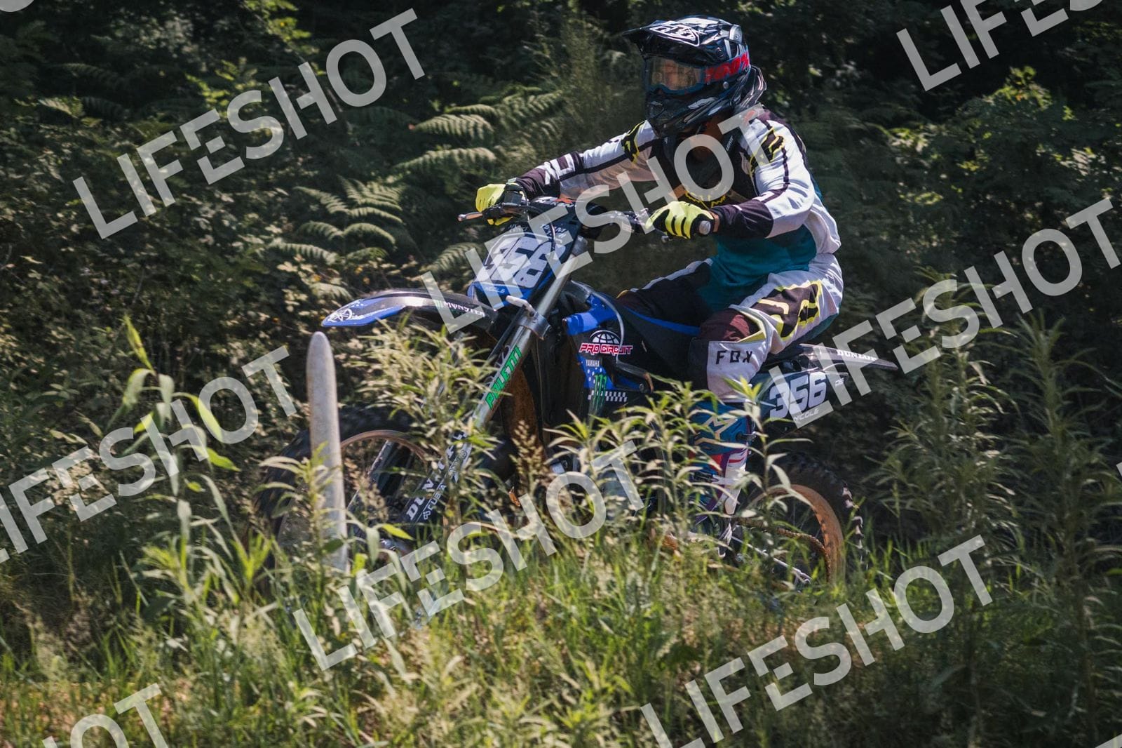 Foto — Training Fara - 14/06