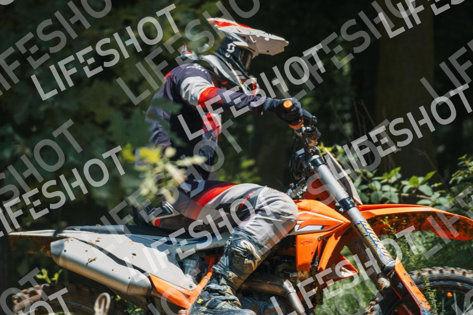 Foto — Training Fara - 14/06