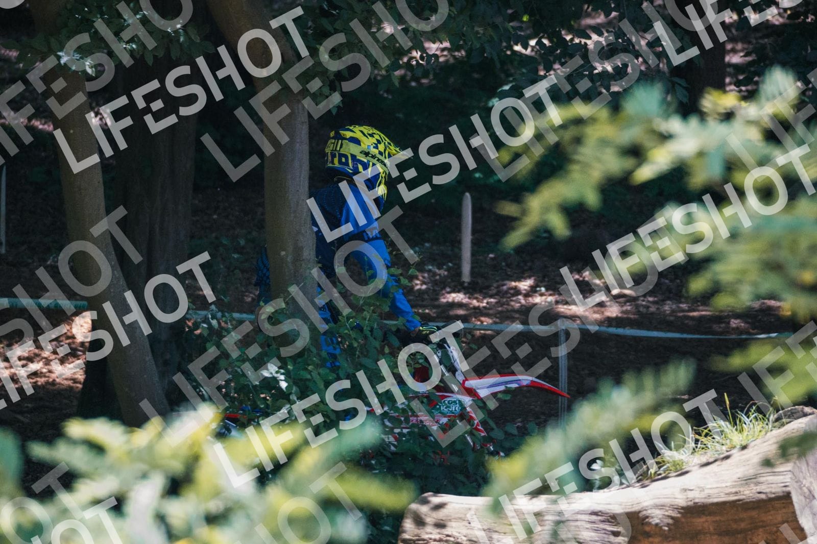Foto — Training Fara - 14/06