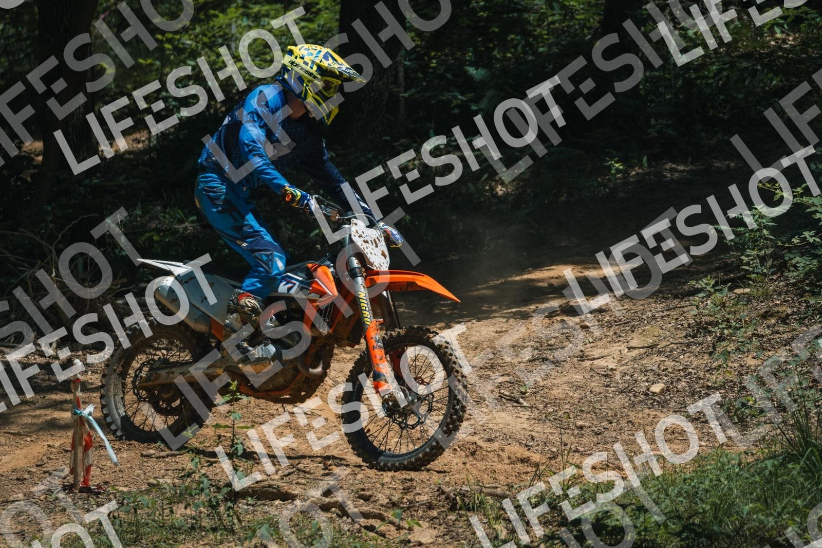 Foto — Training Fara - 14/06