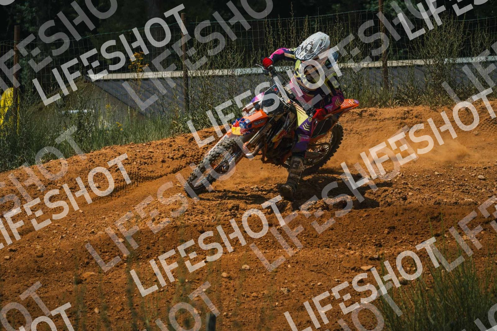 Foto — Training Fara - 14/06