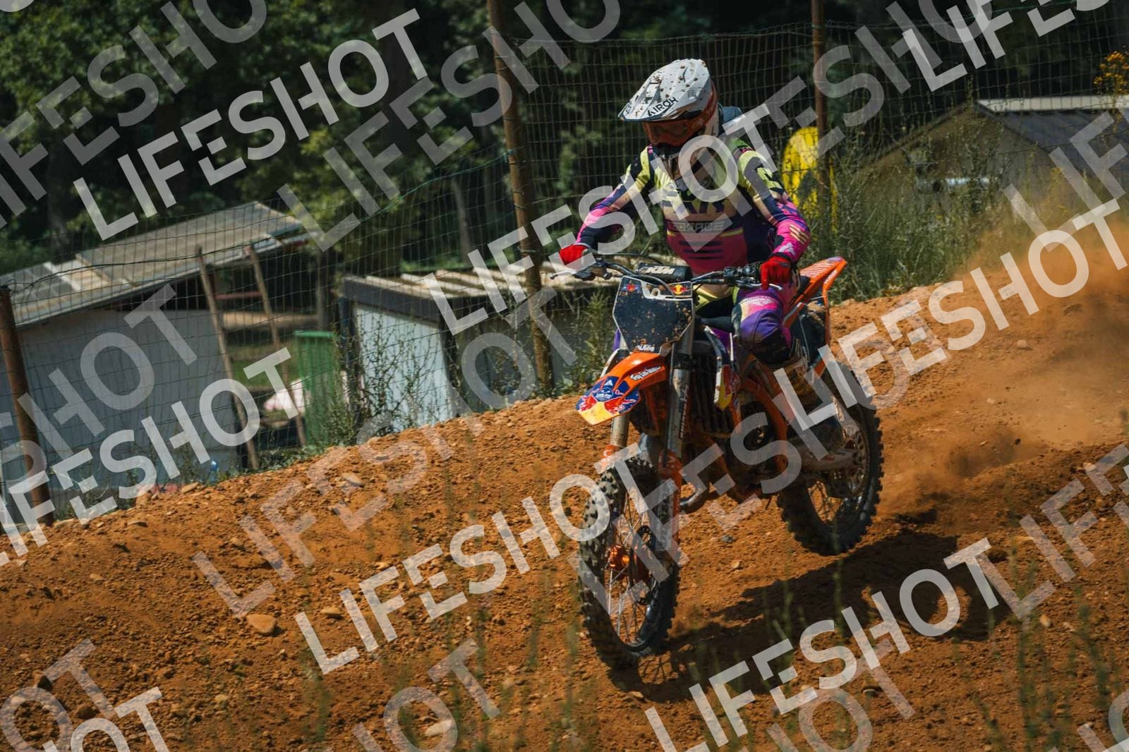 Foto — Training Fara - 14/06