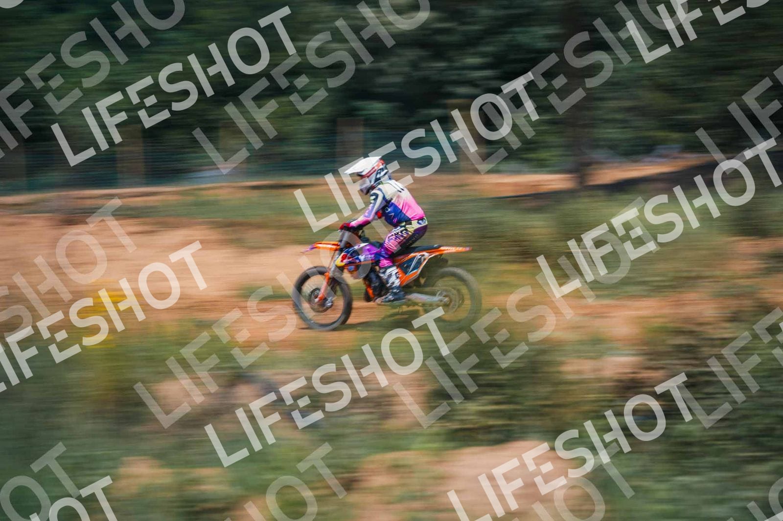 Foto — Training Fara - 14/06