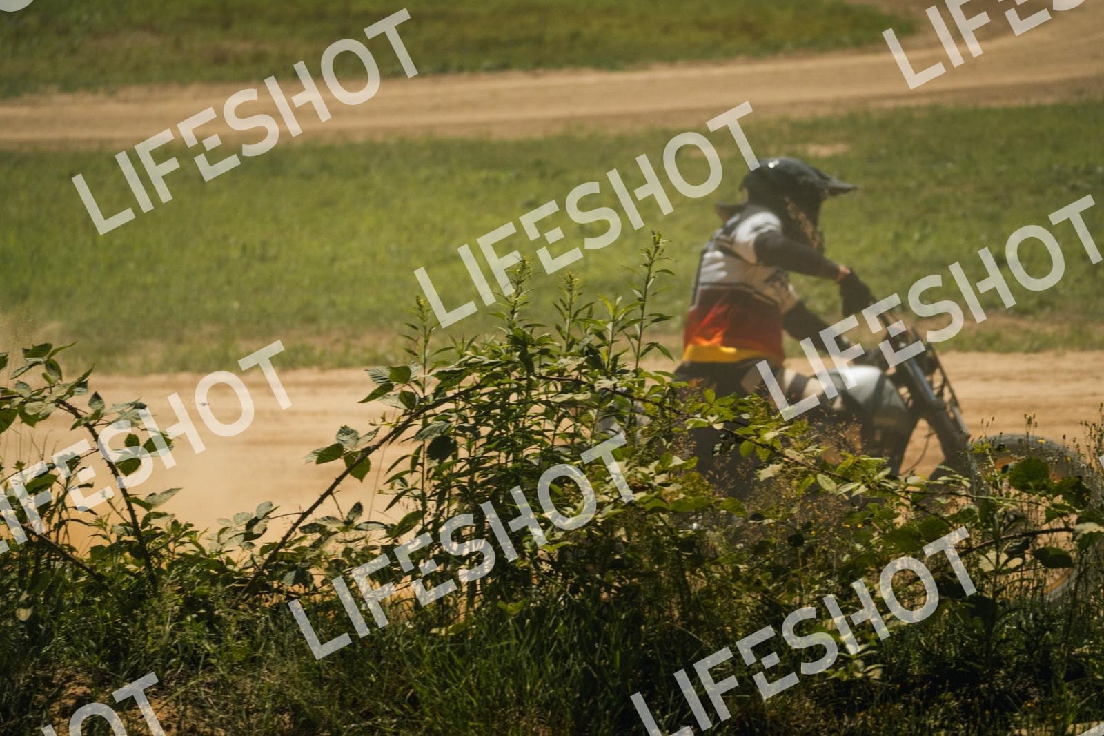 Foto — Training Fara - 14/06