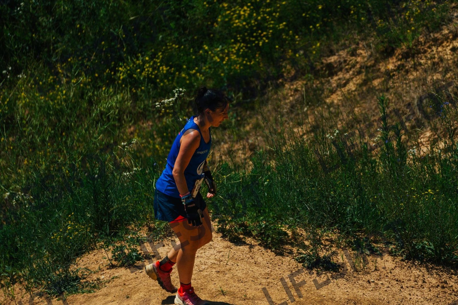 Foto — Brutal Trail