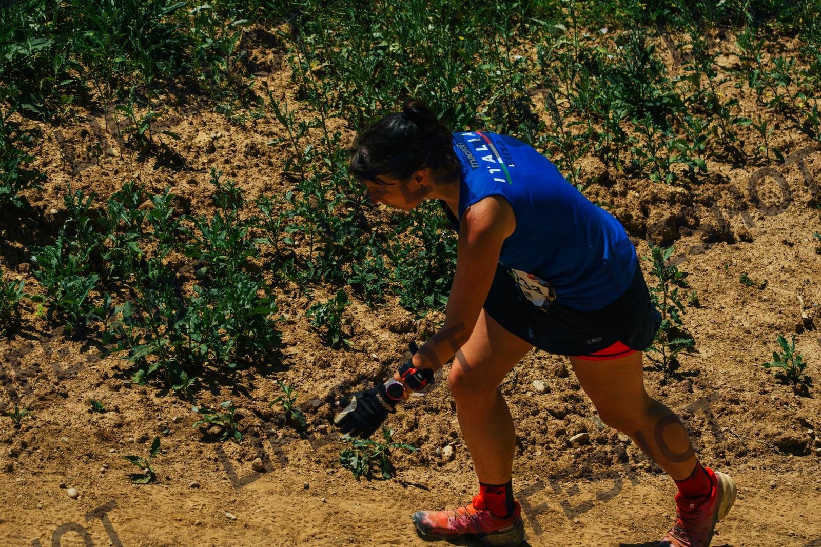 Foto — Brutal Trail