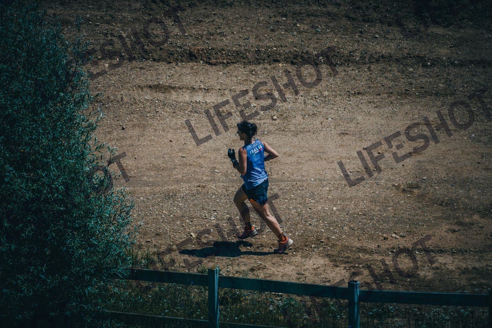 Foto — Brutal Trail